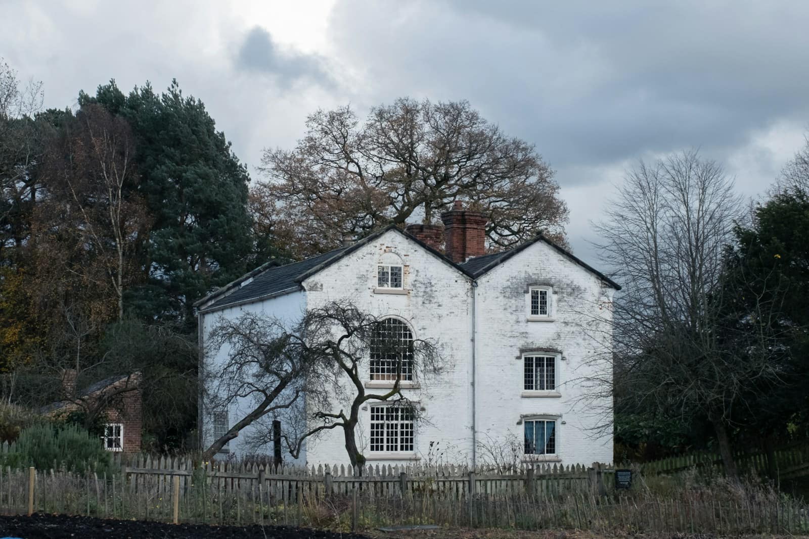 The white two-storey farmhouse at Maigue Meadow House, framed by old trees
